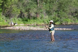 A person wearing a wide-brimmed hat stands knee-deep in a river, fly fishing with a long rod against a backdrop of trees and rocky shoreline.