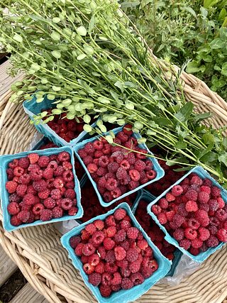 Blue cartons of fresh raspberries sit in a basket beneath a bundle of leafy greens and herbs.