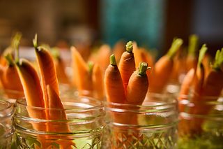 Carrots standing upright in small glass jars, photographed close up with a warm, shallow-focus background.