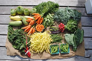 An assortment of freshly harvested vegetables, including carrots, squash, beans, radishes, kale, and leafy greens, arranged on burlap over a wooden deck.